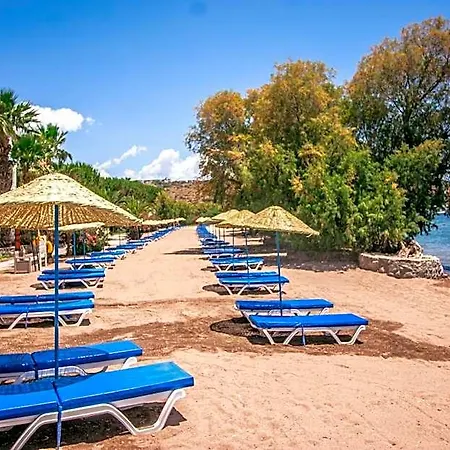 Club Muskebi Hotell